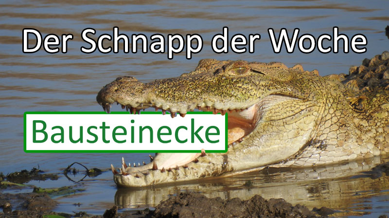 Krokodil mit Schriftzug "Schnapp der Woche"